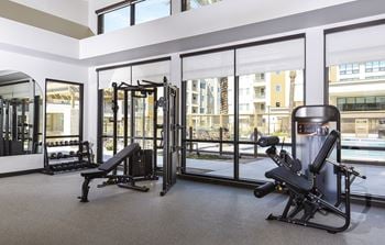 Fitness center and yoga studio